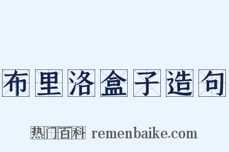 布里洛盒子造句是什么意思的图片